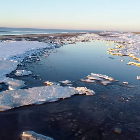 بيت للعطل 8 Person In Romo-by Traum