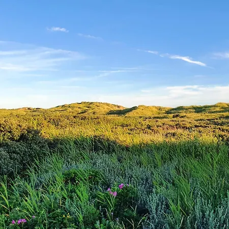 8 Person In Romo-by Traum