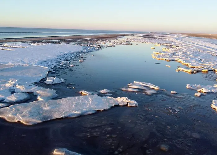 بيت للعطل 8 Person In Romo-by Traum