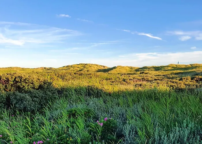 8 Person In Romo-by Traum