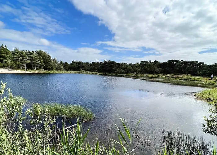 8 Person In Romo-by Traum *