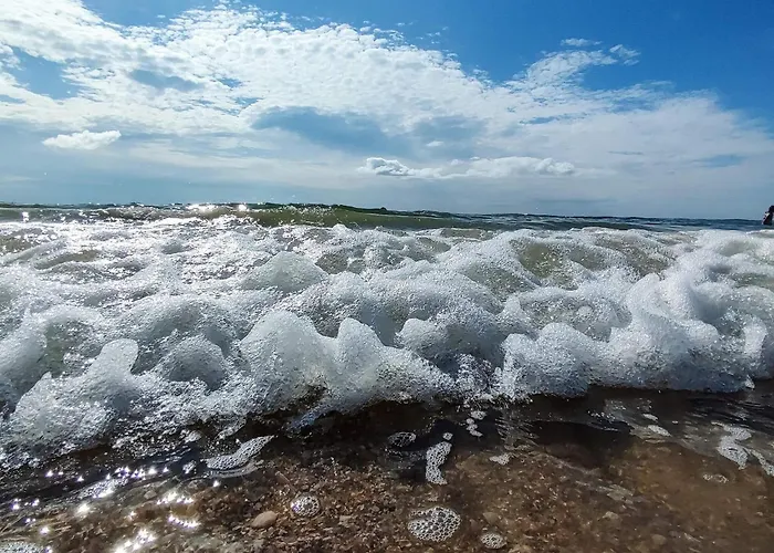 8 Person In Romo-by Traum