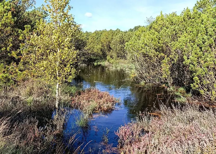 8 Person In Romo-by Traum بيت للعطل *