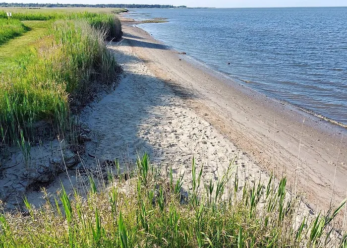 8 Person In Romo-by Traum Kongsmark